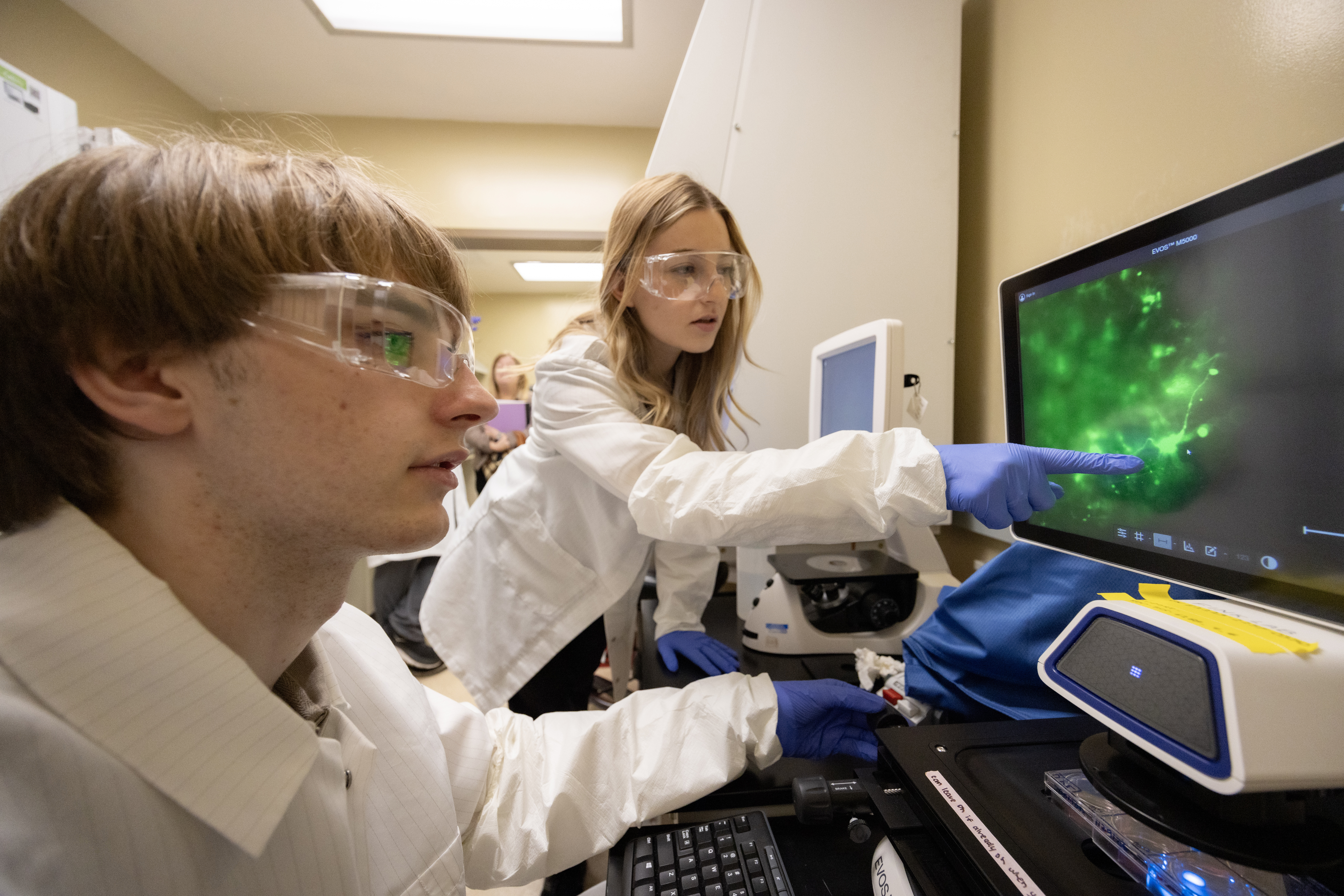 Undergraduate student Iliya Voytsyshyn, left, has developed an app to help quantify the growth patterns of neuronal cells in brain organoid models.